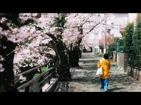 カーテンコール／短編映画『点』主題歌