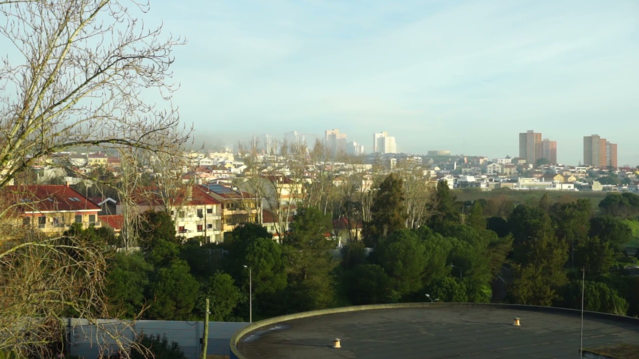 The Fog (ambient, soundscape, looping)