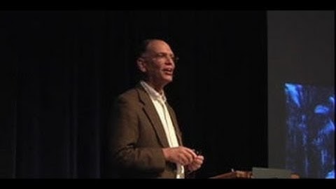 The Decline of Classic Maya Civilization: A Systems Perspective