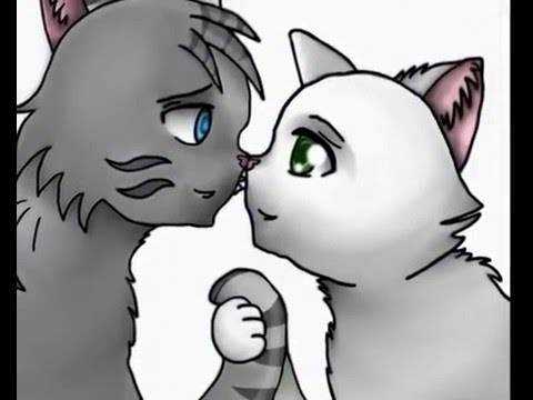 Jayfeather x Half Moon (Warrior Cats) - Just a Dream - YouTube Music.