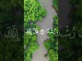 #beautiful #short #video #quran
