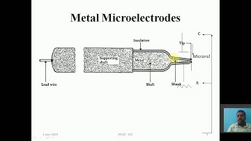 U1 - S7 :: MICRO ELECTRODE
