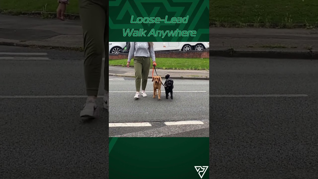 Fern Pre-trained Fox Red Lab