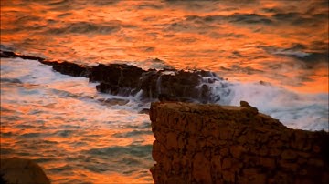 The Red Sided Garter Snakes - Feel Alive