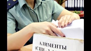Видео Развод Приставы Алименты Административка Уголовка #RAMstudio60 (автор: #RAMstudio60)