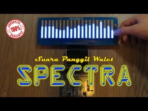 external-swiftlet-sp-spectra,-walet-terpesona-dengan-suaranya