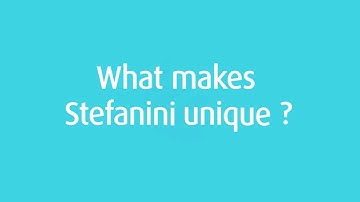 Stefanini Corporate Presentation