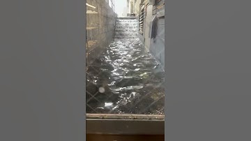 It’s like a waterfall !!