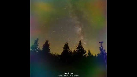 سورة المؤمنون