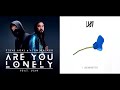 Are You Lonely // I Like Me Better [Remix Mashup] - Steve Aoki & Alan Walker x Lauv