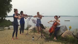 What is Love - String quartet cover by Thalia Strings