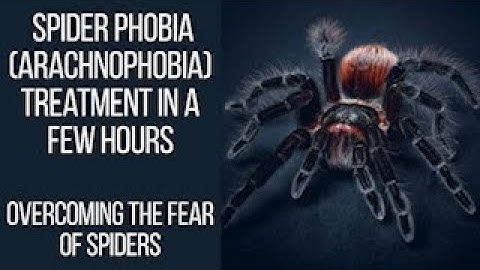 Spider Phobia (Arachnophobia) Treatment - How to overcome Spider Phobia in just a few hours
