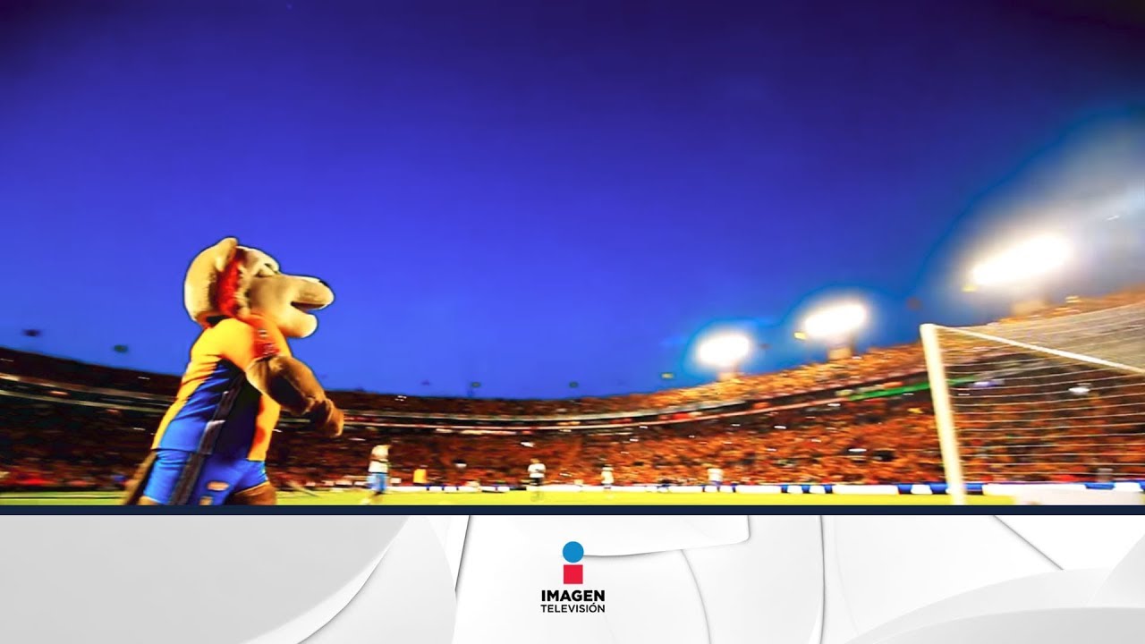 El Color | Tigres vs Guadalajara | Imagen Deportes tigres vs