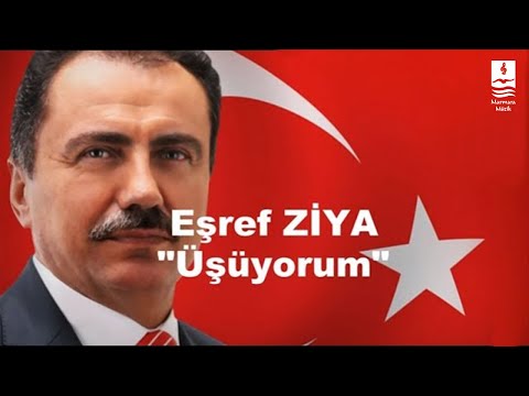 EŞREF ZİYA  \