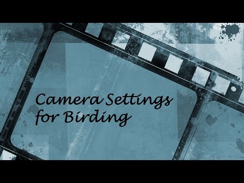 Video: What Does The Letter M Stand For In The Camera Settings