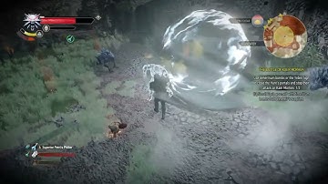 The Witcher 3: Hjalmar VS White Frost