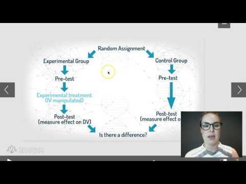 Experimental Investigation Design