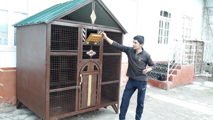 Teenage Mutant Ninja Turtles porno-art Yalangoch ayol va erkakning hammomdagi videosi