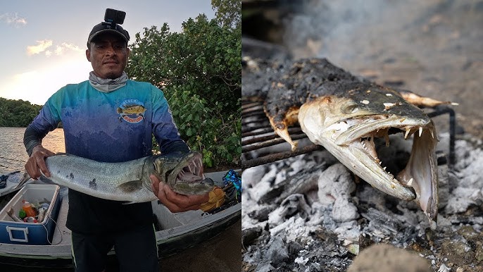 Pescando ROBALOS DE RIO Con arpón y cocinando con un bello atardecer 