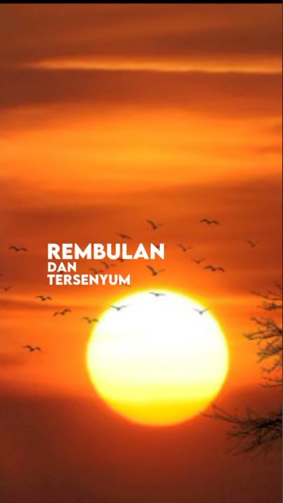story wa setia untuk selamanya keren