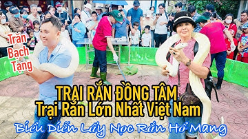 Trải Nghiệm Trại Rắn Đồng Tâm Tiền Giang – Vừa Rùng Rợn Vừa Hấp Dẫn | Travel Tien Giang, Viet Nam