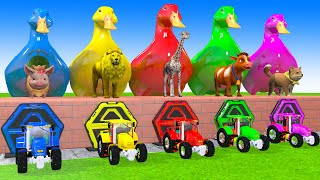 5 Giant Duck, Monkey, Piglet, chicken, dog, cat, cow, Sheep, Transfiguration funny animal 2023