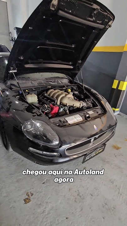 Você acha que tem problema na vida? Olha esse carro então...