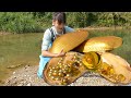 A golden water treasure the girl found a golden mutated giant clam and many pearls in the river