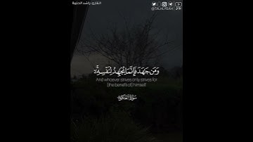 ﴿ومن جاهد فإنما يجاهد لنفسه إِنَّ الله لغني عن العالمين﴾ | القارئ: راشد الحليبة