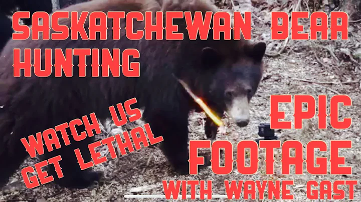 Saskatchewan Bear Hunting 2019 featuring Wayne Gas...