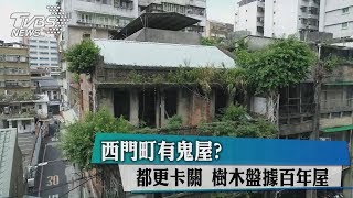 西門町有鬼屋?都更卡關樹木盤據百年屋