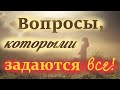 Над Этим стоит Задуматься! Ответы на тяжёлые вопросы. Никто Не умирает ни в своё время...