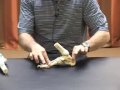 Knee Anatomy Animated Tutorial - YouTube