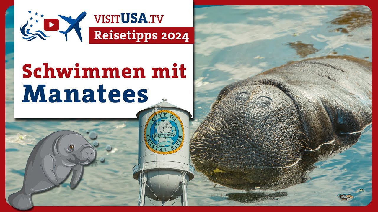 Unvergessliches Florida: Schwimme Seite an Seite mit Manatees!