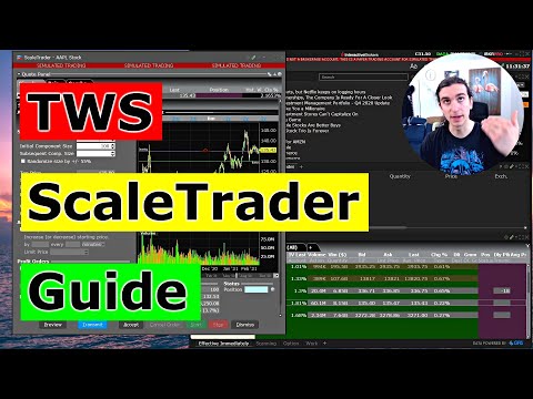 How to use ScaleTrader in TWS