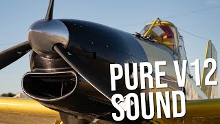 RED's V12 Twin Turbo Crop Duster Pure Sound | Flybys, Take Offs, and Landings