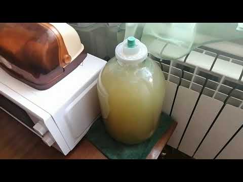 Приготовление вина из меда в домашних условиях