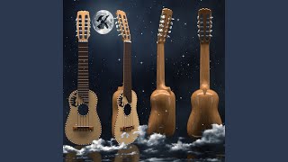 Night Charango