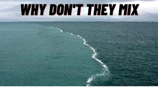 why Atlantic and Pacific Oceans don't mix #informationforyou #pacific #atlantic #ocean #mix #english