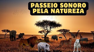 Um Passeio Sonoro pela Natureza