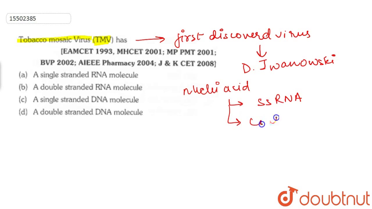 Tobacco Mosaic Virus Tmv Has Youtube Tobacco Mosaic Virus Tmv Has Youtube