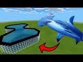 How To Make a HAMMERHEAD SHARK FARM in Minecraft PE