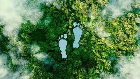 Basic Concept of Carbon Footprint. How it is Calculated? What is CO2e? 👣