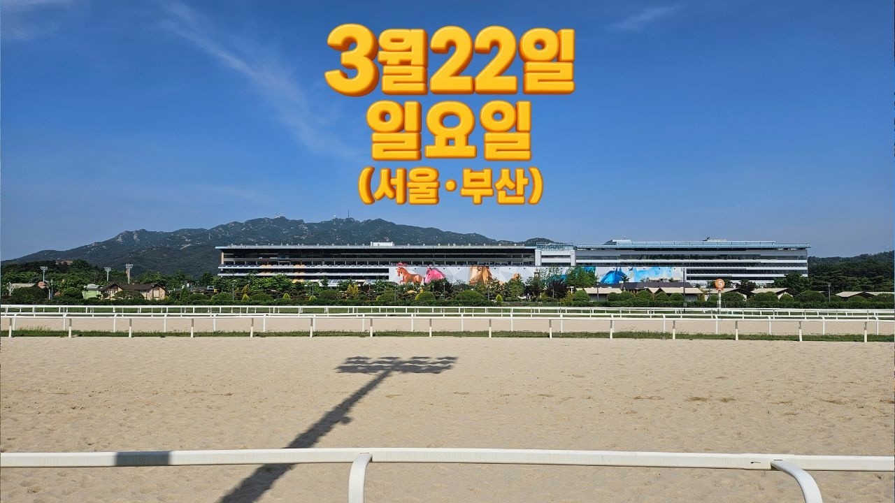 [ 2026년 3월 22일 일요(서울.부산)경마~!]