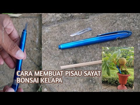 Cara Mudah Membuat Pisau Sayat Bonsai Kelapa Easy Way Make Knife For Coconutbonsai Youtube