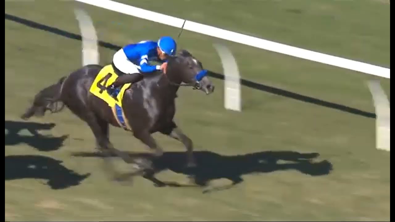 R1 DEL MR (23 ноября 2025 г.)