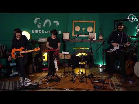 Birds Are indie - "Instead of Watching Telly" I Clav Live Session