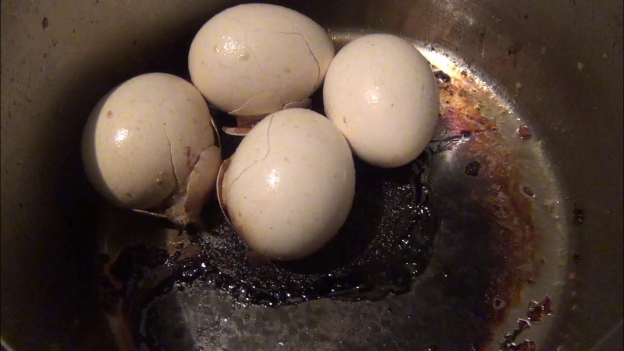 Видео вареные яички. Яйца в кастрюле.