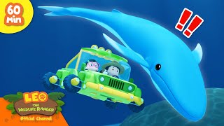 Giants Under the Sea?!  Whales, Fish & more!  | Leo the Wildlife Ranger | Kids Cartoons