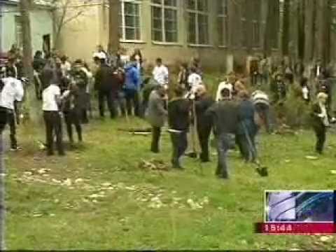 MOE: აქცია ,,დარგე შენი მომავალი''